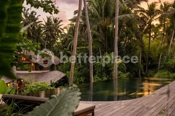 Two Titles, One Vision: Main Land and Rice Field View Land Forming a Singular 2.4-Hectare Ubud Sanctuary