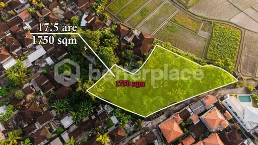Invest Where Bali Is Heading Next: Expansive Kaba Kaba Parcel with Mountain, Paddy and Sunset Frontage
