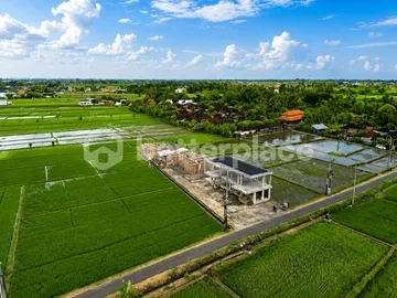 Prepared 262 sqm Leasehold Plot in Kedungu — Foundations Standing, Paddy Views, Three Minutes from the Waves