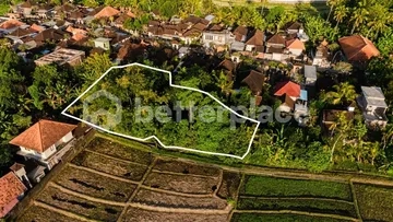 Coastal-Quality Views at a Fraction of Coastal Pricing — Prime Investment Land in Quietly Appreciating Nyambu