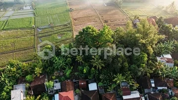 Coastal-Quality Views at a Fraction of Coastal Pricing — Prime Investment Land in Quietly Appreciating Nyambu