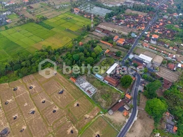 Invest Where Ubud’s Growth Is Heading Next: Substantial Interior Landholding With Classic Balinese Outlook
