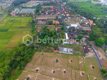 Invest Where Ubud’s Growth Is Heading Next: Substantial Interior Landholding With Classic Balinese Outlook