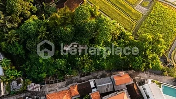 Invest Where Bali Is Heading Next: Expansive Kaba Kaba Parcel with Mountain, Paddy and Sunset Frontage