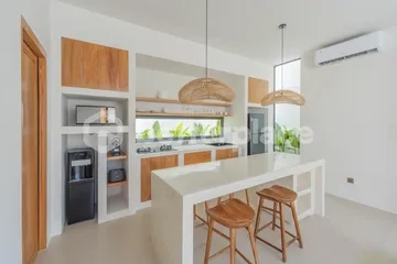 Sleek 1-Bedroom Villa with Strong Development Potential in Bingin