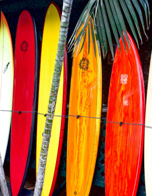 Surf lessons